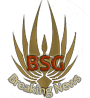 ..zu allen BSG - Breaking News